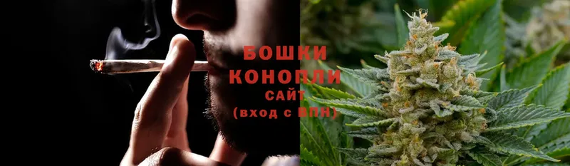 Каннабис OG Kush  купить  сайты  Боровск 